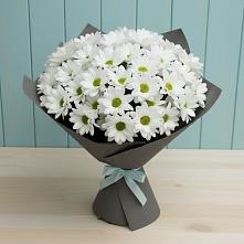 Букет цветов из:  Хризантемы в Аксае Республика Дагестан