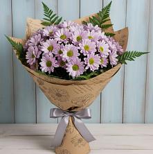 Букет цветов из:  Хризантемы в Аксае Республика Дагестан