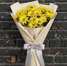 Букет цветов из:  Хризантемы в Аксае Республика Дагестан
