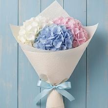 Букет цветов из:  Гортензия в Аксае Республика Дагестан