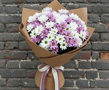 Букет цветов из:  Хризантемы в Аксае Республика Дагестан