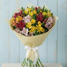 Букет цветов из:  Альстромерии в Аксае Республика Дагестан