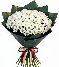 Букет цветов из:  Хризантемы #REPLACE_PRED# Аксае Республика Дагестан