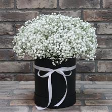 Цветочная композиция из Гипсофила в шляпной коробке в Аксае Республика Дагестан