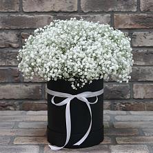Цветочная композиция из Гипсофила в шляпной коробке в Аксае Республика Дагестан