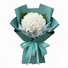 Букет цветов из:  Гортензия в Аксае Республика Дагестан